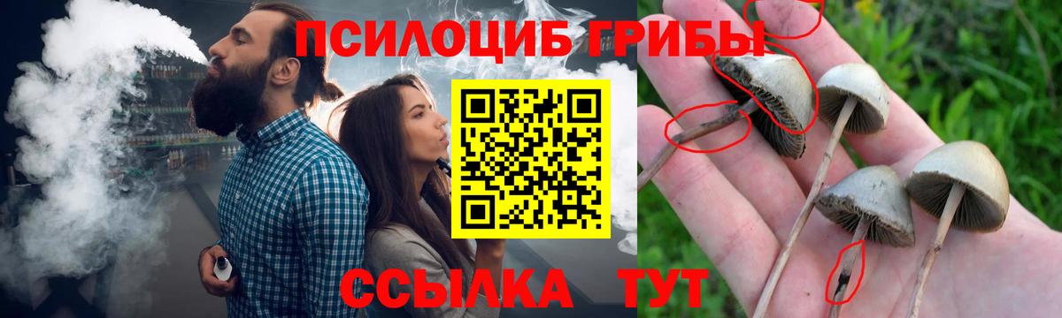 Галлюциногенные грибы Magic Shrooms  Вход с VPN  Армавир 